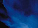 Free Stock Photo: Close-up of a burning flame