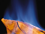 Free Stock Photo: Close-up of a burning flame