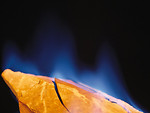 Free Stock Photo: Close-up of a burning flame