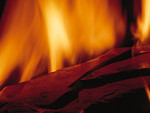 Free Stock Photo: Close-up of a burning flame