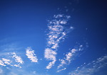 Free Stock Photo: A cloudy blue sky.