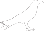 Free Stock Photo: Illustration of a crow outline