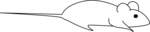 Free Stock Photo: Illustration of a mouse