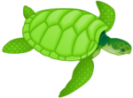 Free Stock Photo: Illustration of a green sea turtle