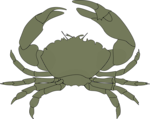Free Stock Photo: Illustration of a crab
