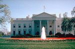 Free Stock Photo: The White House in Washington, DC