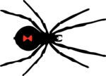 Free Stock Photo: Illustration of a black widow spider