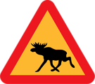 Free Stock Photo: Illustration of a moose crossing warning sign