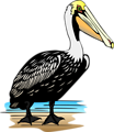 Free Stock Photo: Illustration of a pelican