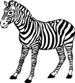 Free Stock Photo: Illustration of a zebra