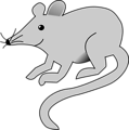 Free Stock Photo: Illustration of a mouse