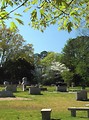 Free Stock Photo: A cemetery in spring time
