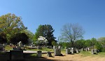 Free Stock Photo: A cemetery in spring time