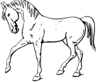 Free Stock Photo: Illustration of a walking horse in black and white