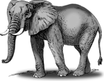 Free Stock Photo: Illustration of an elephant