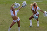 Free Stock Photo: Two Miami Dolphins cheerleaders