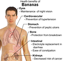 Free Stock Photo: Illustration showing the health benefits of bananas