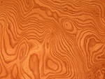 Free Stock Photo: A wood grain texture