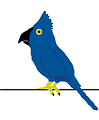 Free Stock Photo: Illustration of a blue parrot