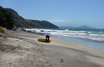 Free Stock Photo: A surfer on the beach