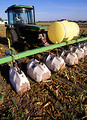 Free Stock Photo: A tractor spraying herbicide between rows of grain sorghum