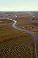 Free Stock Photo: Aerial view of apple and pear orchards