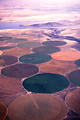 Free Stock Photo: Aerial view of circular crop fields of wheat, alfalfa, potatoes and melons