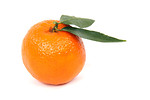 Free Stock Photo: A clementine isolated on a white background