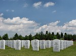 Free Stock Photo: Gravestones in a field at the Georgia National Cemetery