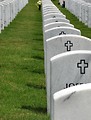 Free Stock Photo: Close-up of gravestones in a row at the Georgia National Cemetery