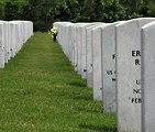 Free Stock Photo: Close-up of gravestones in a row at the Georgia National Cemetery