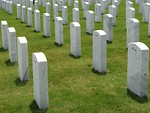 Free Stock Photo: Gravestones in a row at the Georgia National Cemetery