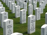Free Stock Photo: Gravestones in a row at the Georgia National Cemetery