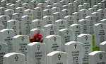 Free Stock Photo: Rows of gravestones at the Georgia National Cemetery