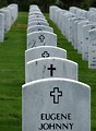 Free Stock Photo: Close-up of gravestones in a row at the Georgia National Cemetery
