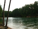 Free Stock Photo: View of trees by a lake