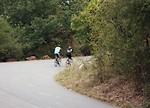 Free Stock Photo: A couple bike riding on a road surrounded by trees in early Autumn