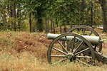 Free Stock Photo: A Civil War era cannon in the woods