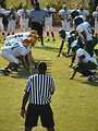 Free Stock Photo: Middle school football players lined up at the line of scrimmage