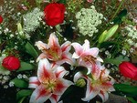 Free Stock Photo: A bouquet of red and white flowers