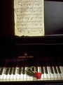 Free Stock Photo: A single red rose lying on piano keys