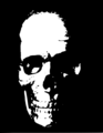 Free Stock Photo: Illustration of a human skull