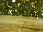 Free Stock Photo: Raindrops and green grass in the sun