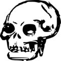 Free Stock Photo: Illustration of a human skull