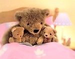 Free Stock Photo: Teddy bears in a pink bed