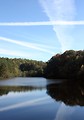 Free Stock Photo: An autumn landscape of trees by a lake