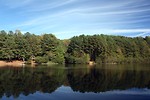 Free Stock Photo: An autumn landscape of trees by a lake