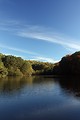Free Stock Photo: An autumn landscape of trees by a lake