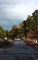 Free Stock Photo: Autumn at historic Oakland Cemetery in Atlanta, Georgia