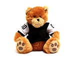 Free Stock Photo: A teddy bear in a football jersey